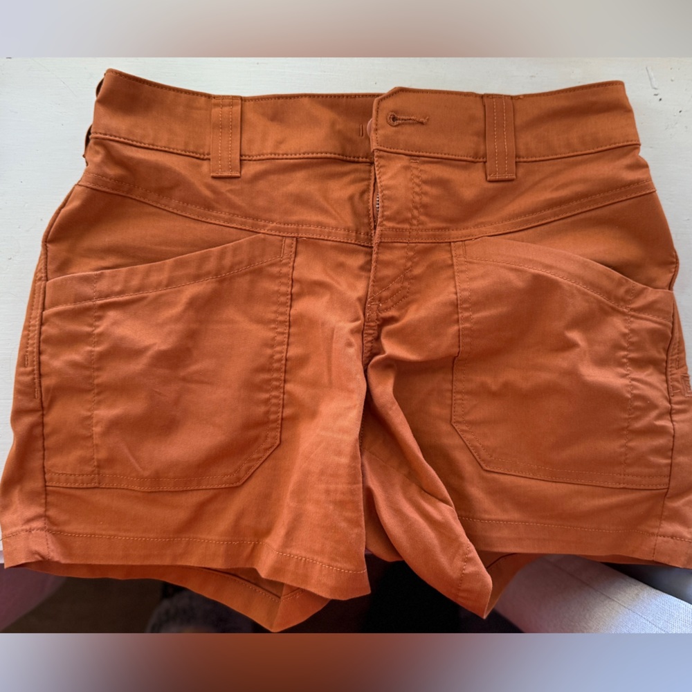 Rust Orange High-Waisted Shorts